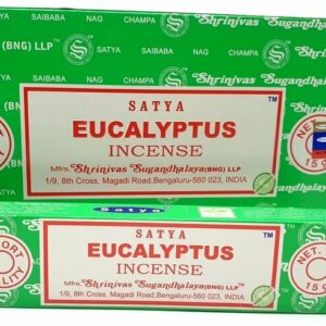 Encens Satya Eucalyptus 15g