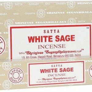 Encens Satya Sauge Blanche 15g
